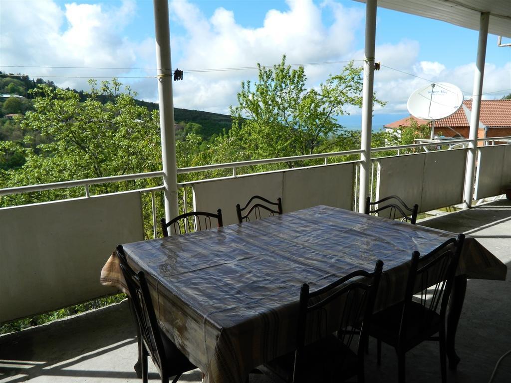 Guest House Gidi Signagi Quarto foto